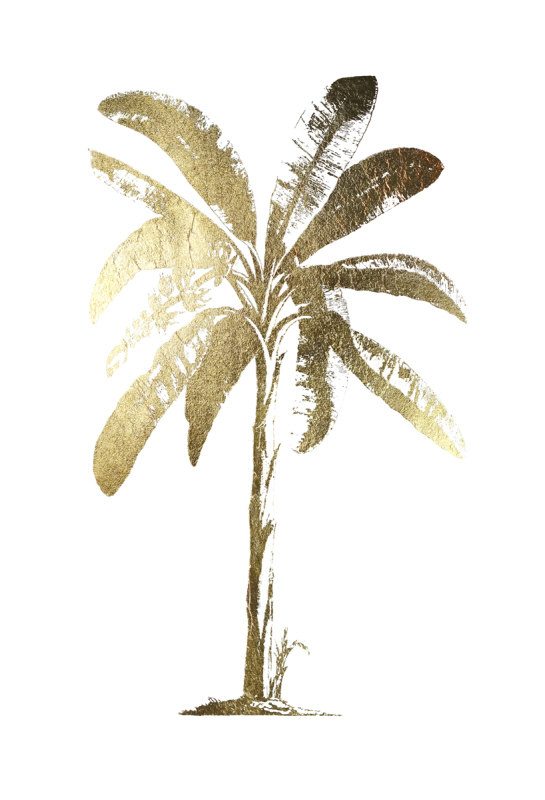 비젼 스튜디오 - Gold Foil Tropical Palm II