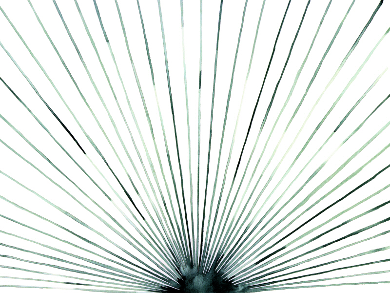 그레이스 포프 - Strobe I