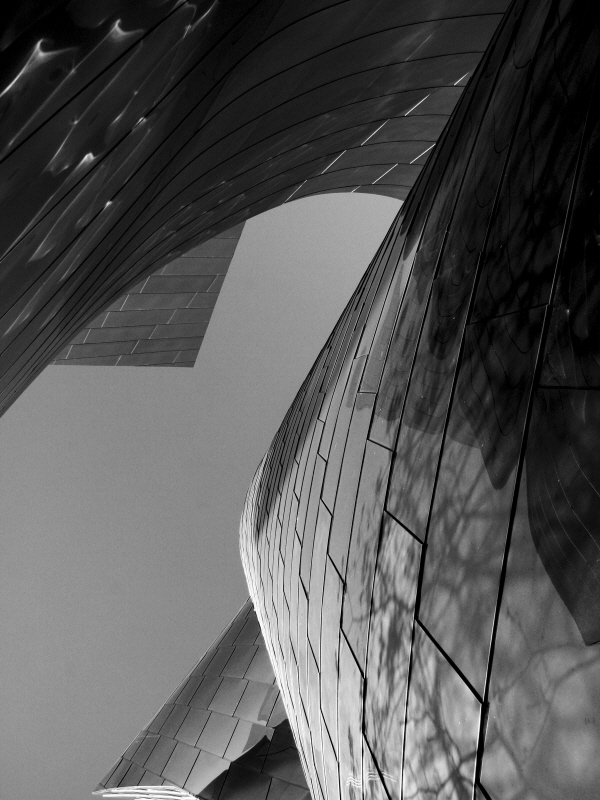 DAG - Ode to Gehry 7