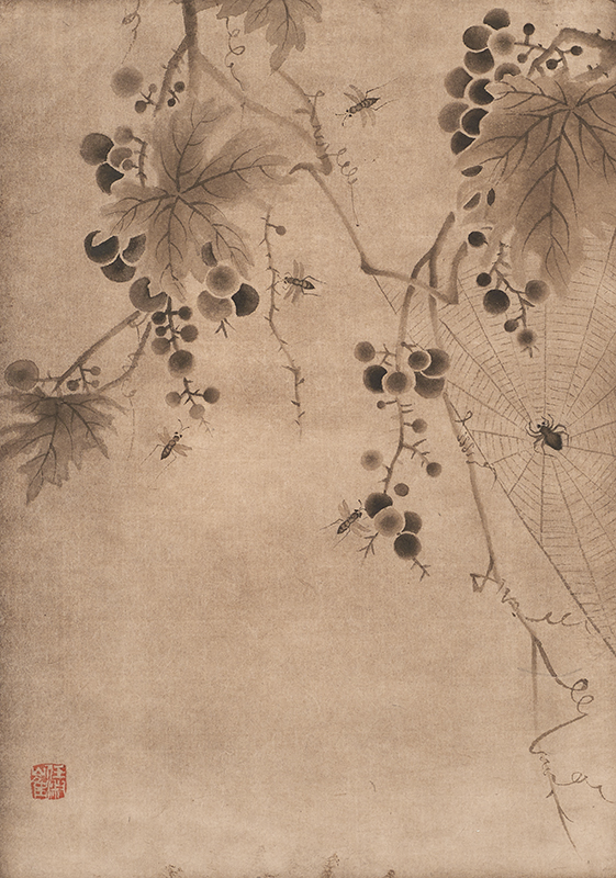 최임숙 - 포도도