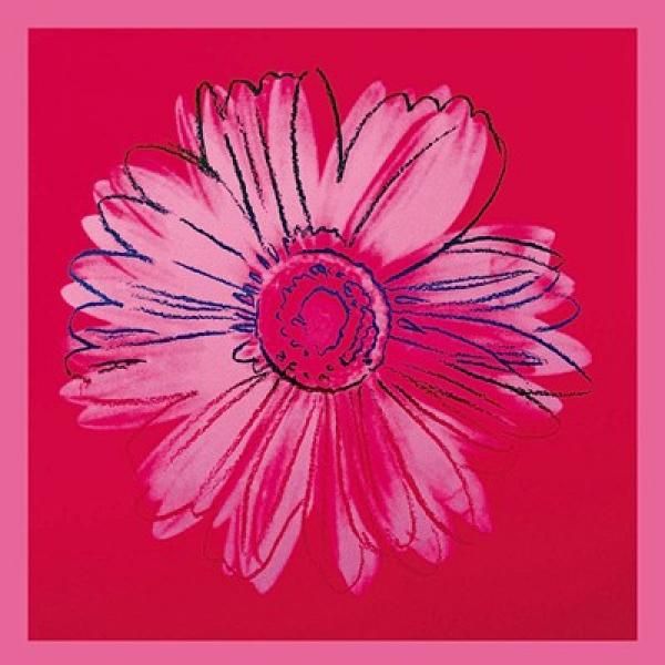 앤디 워홀 - Daisy, C. 1982 (Cripson And Pink)