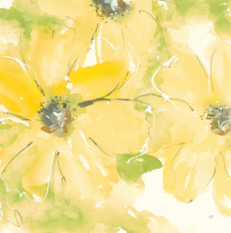 크리스 파쉬케 - Sunshine Cosmos II v2