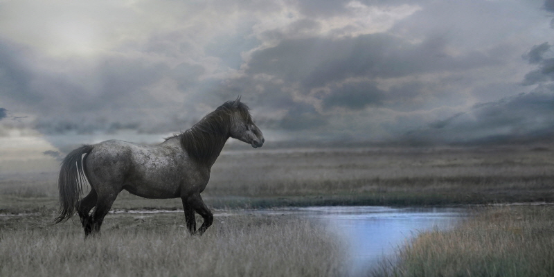 셰인 러섹 - Once Upon A Time In The West