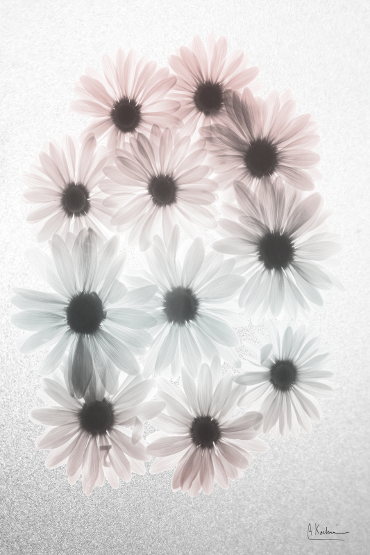 알버트 쿠치어 - Margarithe Fantasy I