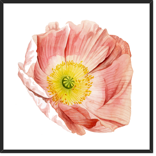 (원목)마운팅블랙