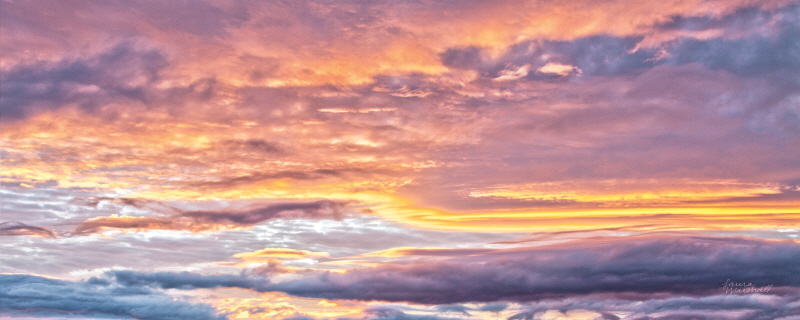 로라 마샬 - September Skies II