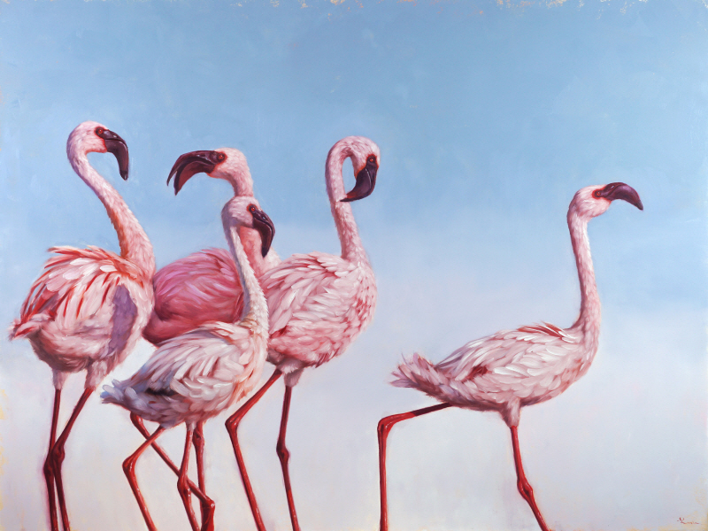 루시아 헤퍼넌 - Pink Ladies