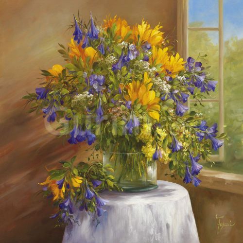 파사니 - Summer Bloom