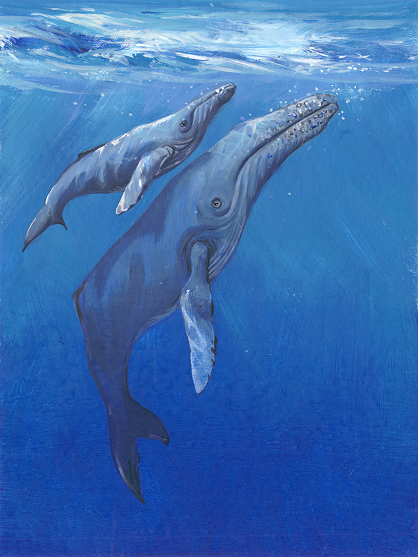 팀 오툴 - Under Sea Whales I