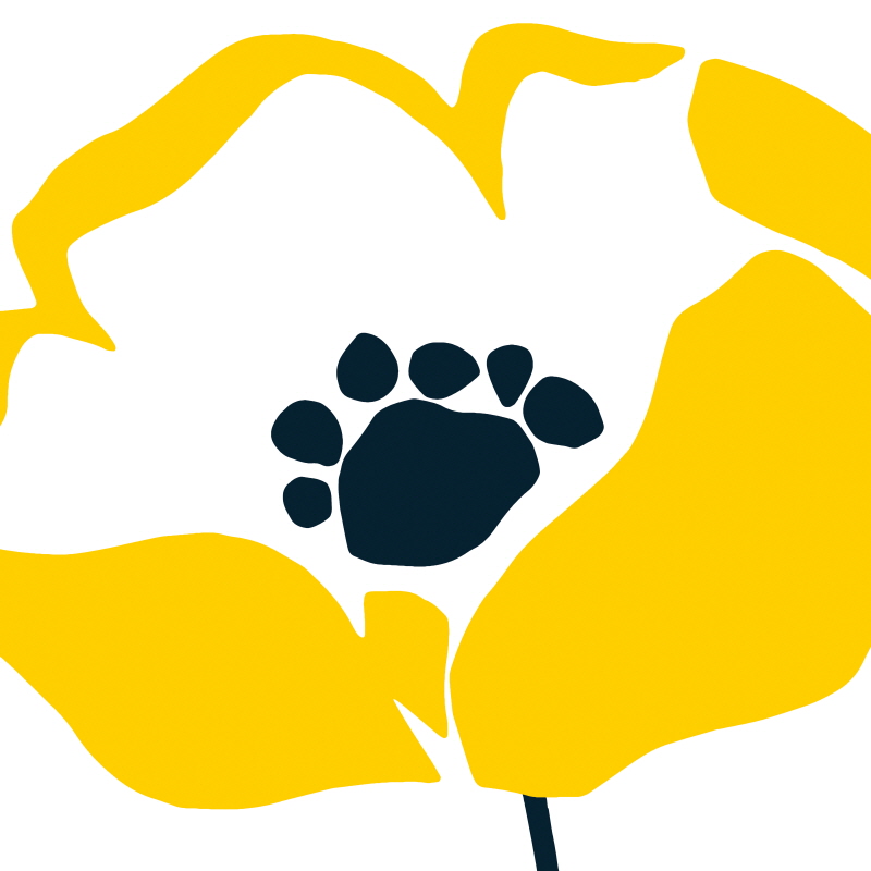 에이피 스튜디오 - Pop Art Floral II