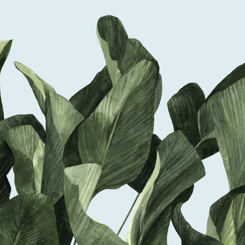 엠마 스카비 - Celadon Palms II