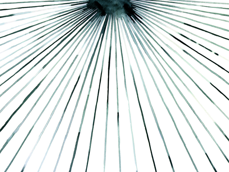 그레이스 포프 - Strobe II