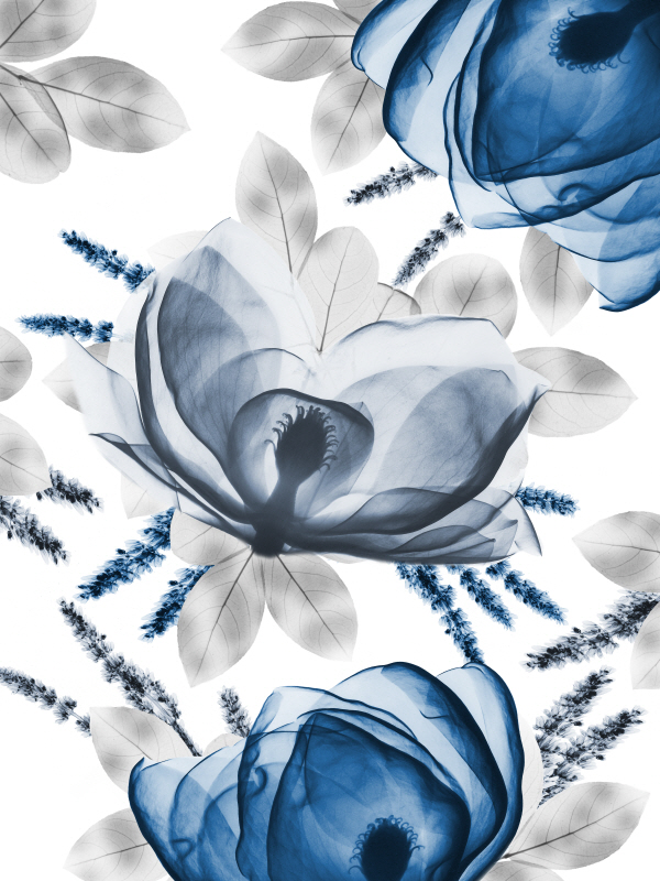 알버트 쿠치어 - Invigorating Beauty I