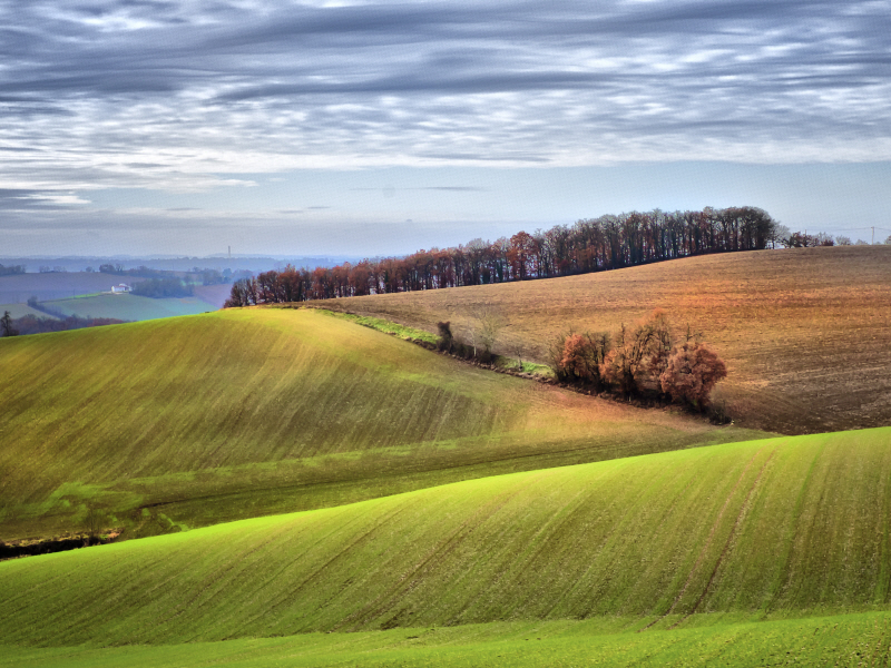 콜비 체스터 - Pastoral Countryside XX