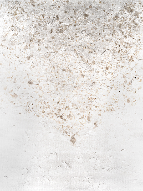 베나 램 - Anodized IV