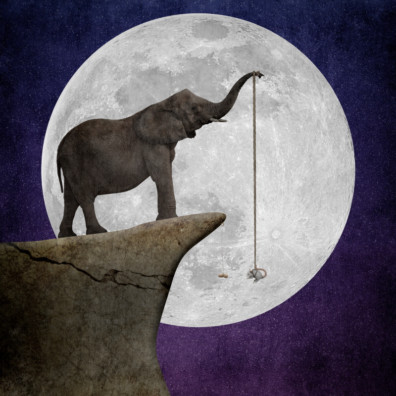 그렉 노블린 - A Little Help