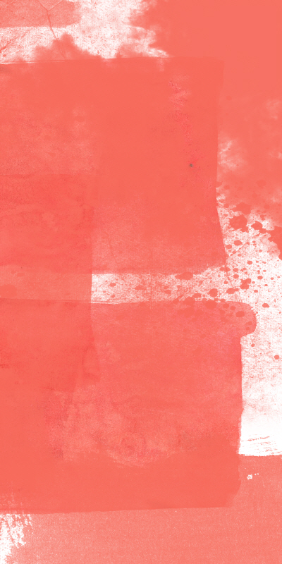 셰런 루이스 - Coral Den I