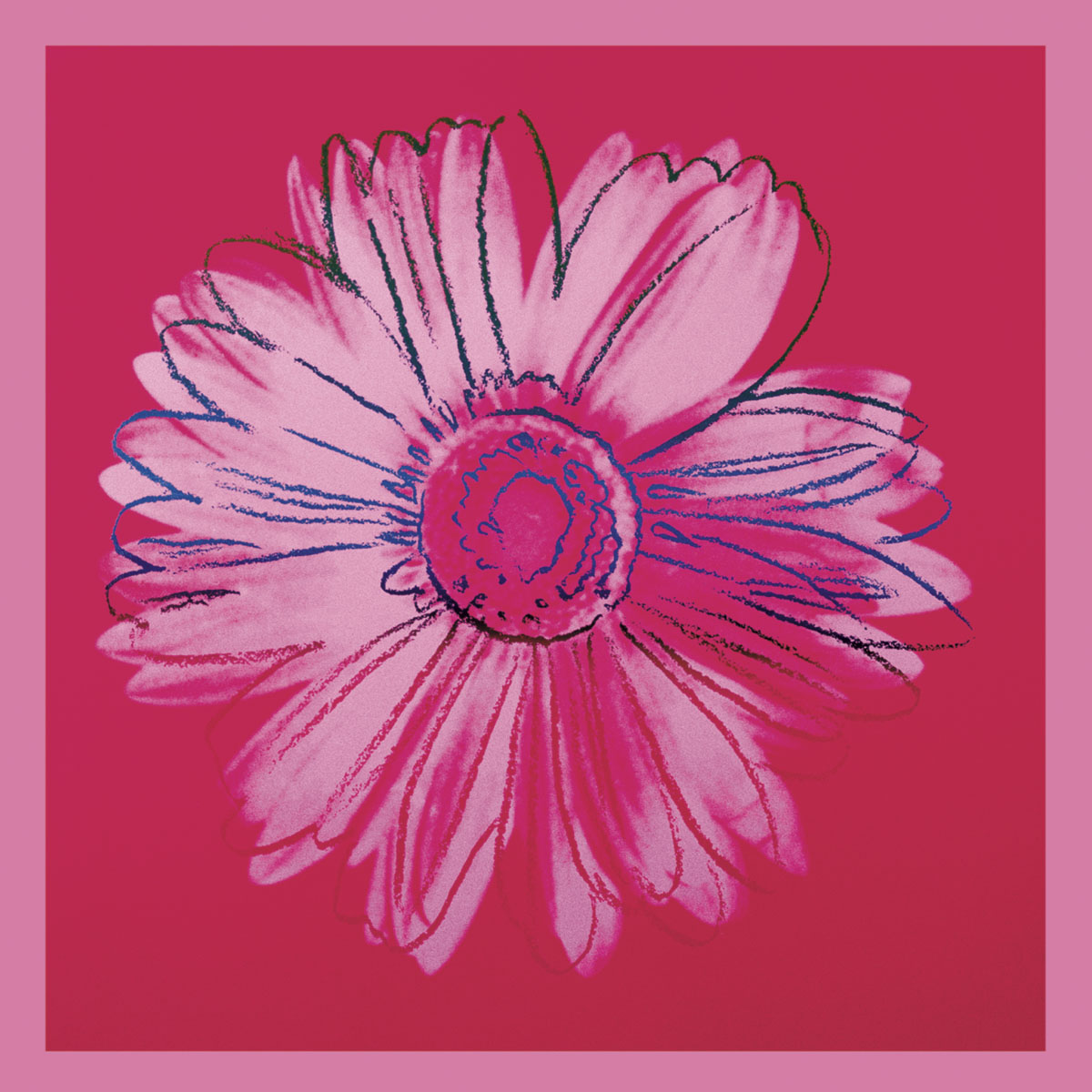 앤디 워홀 - Daisy, C. 1982 (Crimson And Pink)