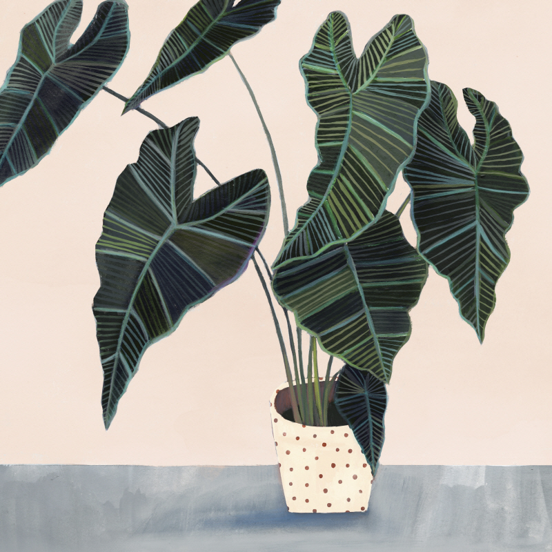 빅토리아 보르헤스 - Houseplant II