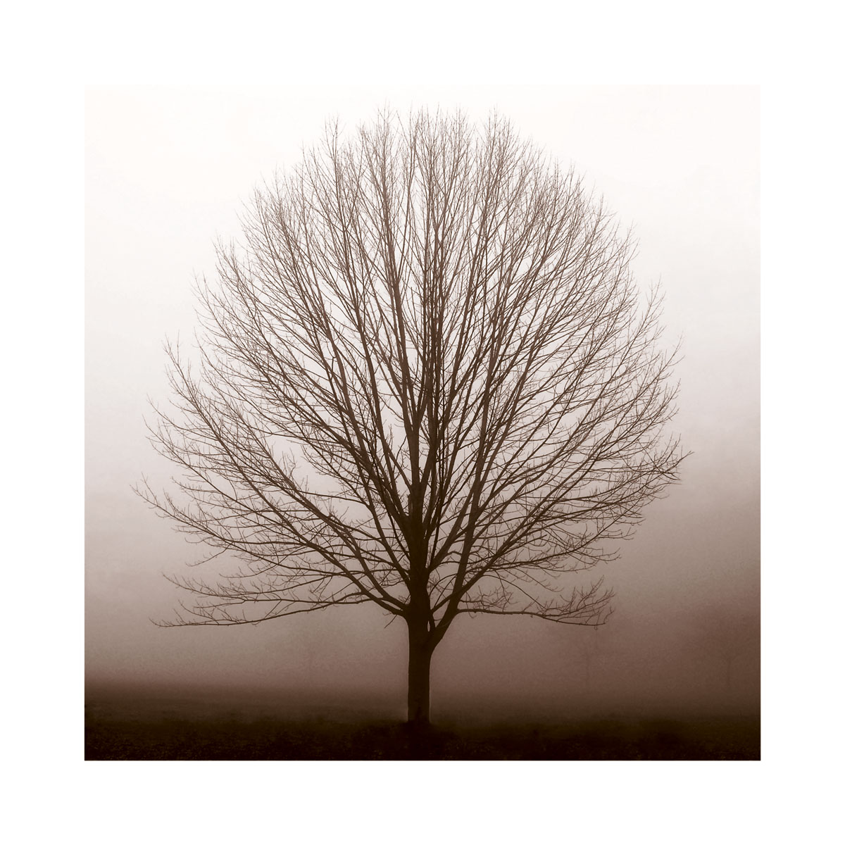 에린 클락 - Stillness