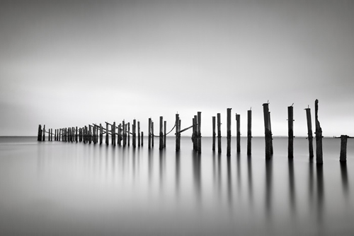 캐서린 정드로 - Still BW