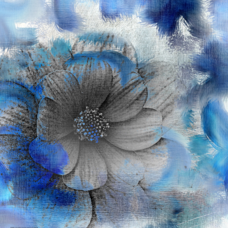 킴벌리 앨런 - Blooming