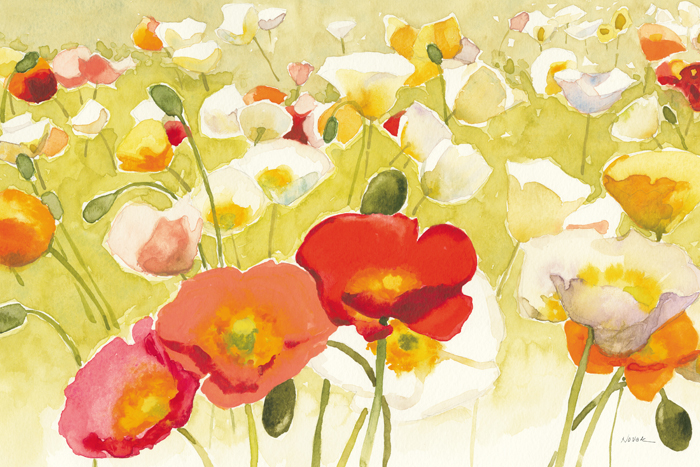 셜리 노박 - My Iceland Plot I