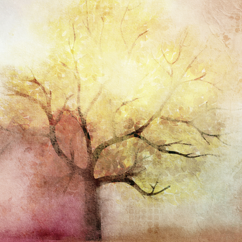 킴벌리 앨런 - Shades of Autumn