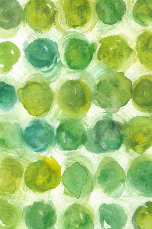 샤릭리아 제리스 - Spearmint II