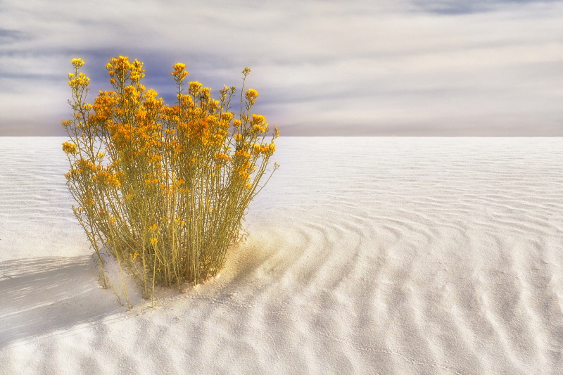 데보라 레브 보렌 - Dunescape #2