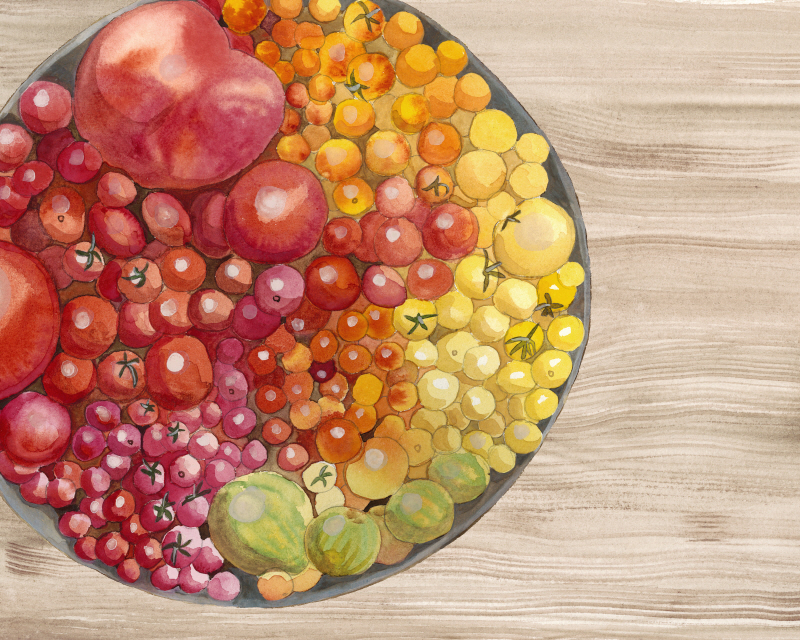 알리샤 루드윅 - Bowls of Fruit I