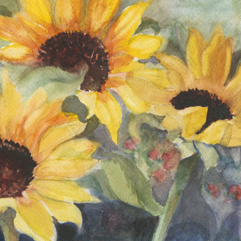 산드라 이아프레이트 - Sunflowers in Watercolor II