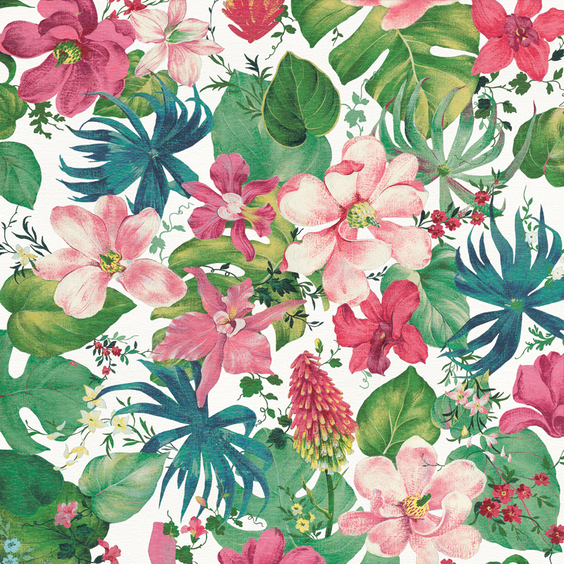 단후이 나이 - Tropical Dream Bright on White (스타트업 협찬그림)