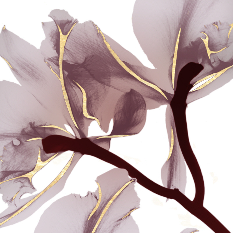 알버트 쿠치어 - Luscious Bouquet II