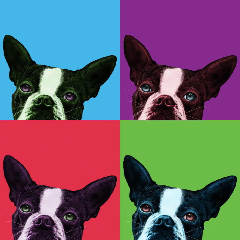 존 베르텔릭 - Loyalty Pop (부부의세계 협찬그림)