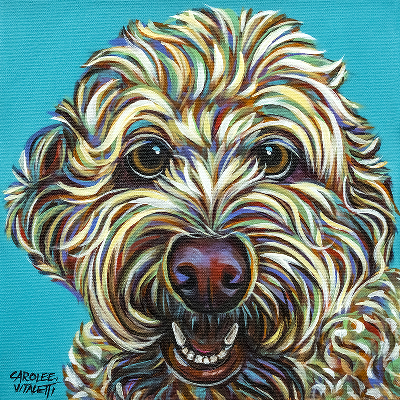 캐롤리 바이탈리티 - Kaleidoscope Dog IV