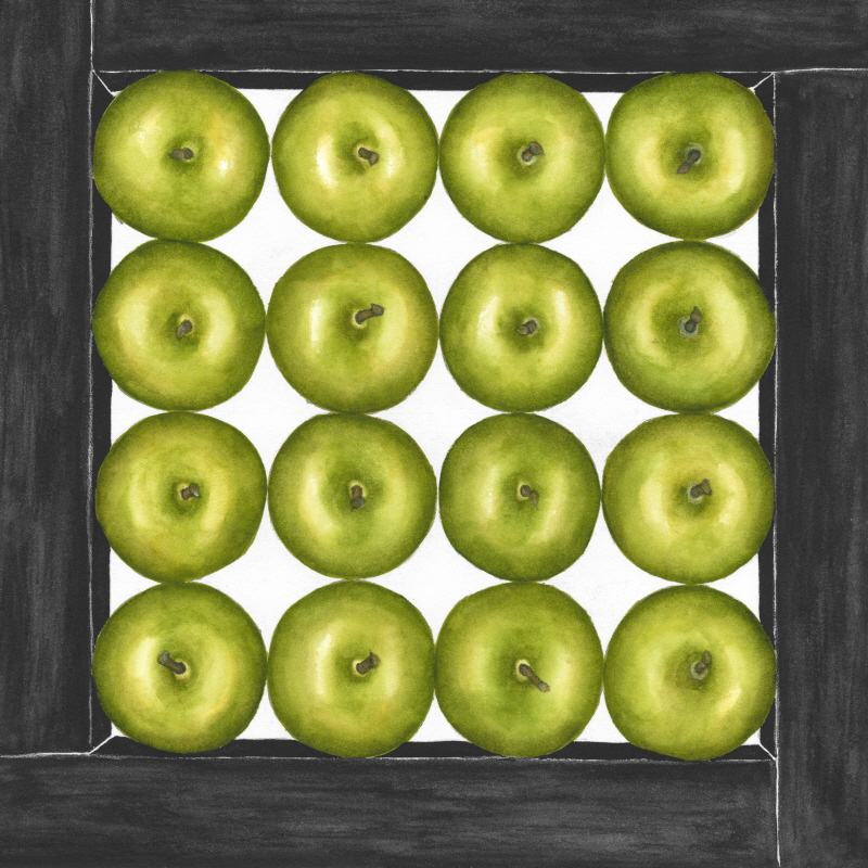 제니퍼 골드버거 - Green Apples Cubed