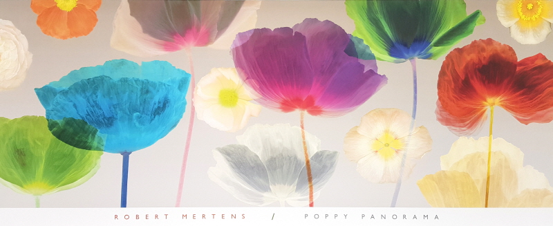 로버트 메르텐스 - Poppy Panorama-Ovz