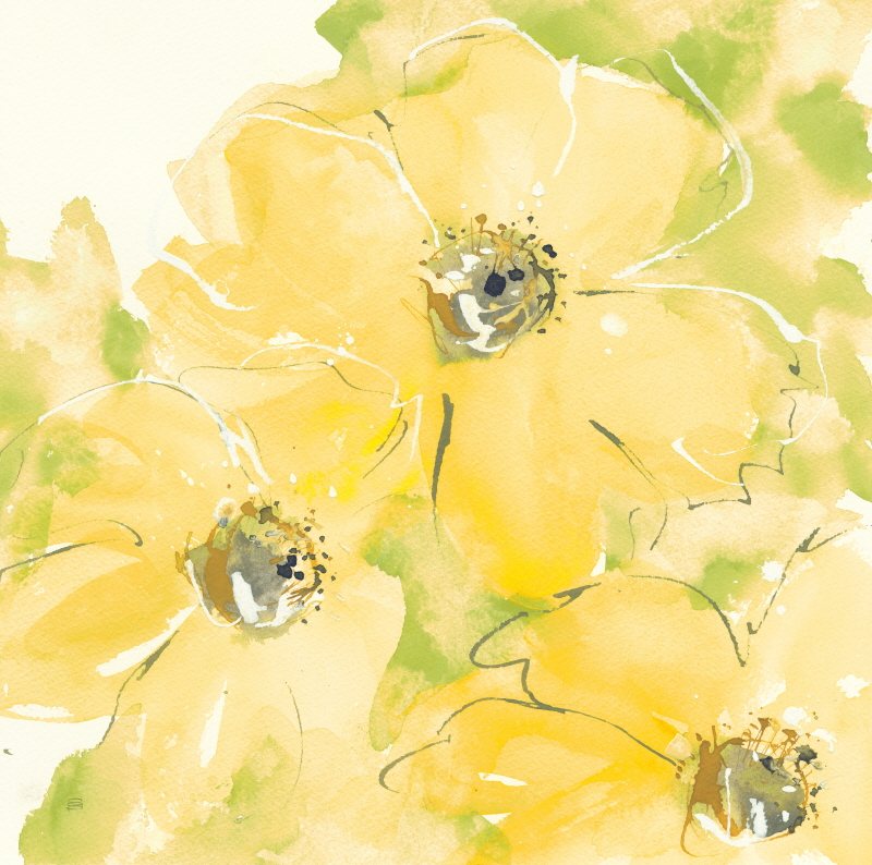 크리스 파쉬케 - Sunshine Cosmos I v2