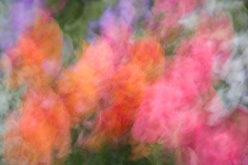 윌리엄 네일 - Color Impressions I