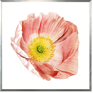 (원목)마운팅실버