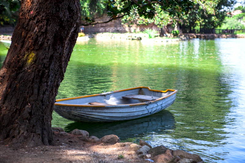 박나은 - Boat on Lake