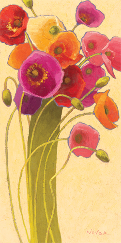 셜리 노박 - Amapola Barcelona II