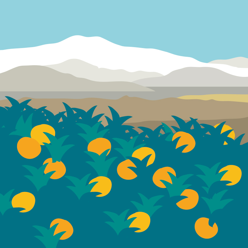 한명일 - 제주 한라산