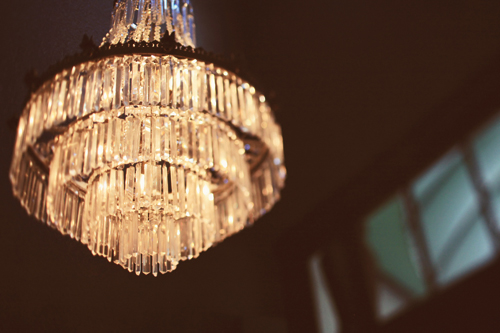 알리샤 보크 - Savannah No.3