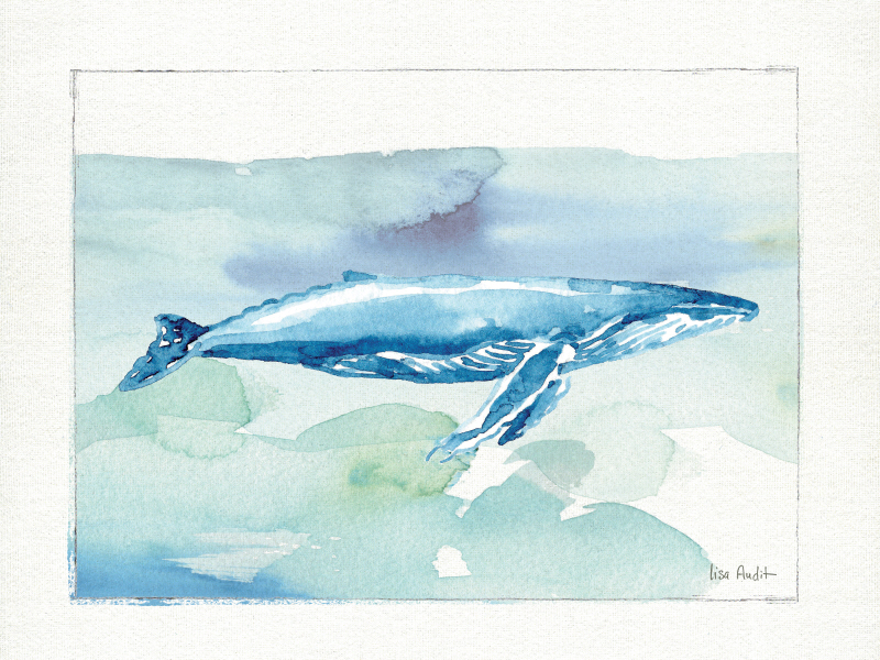 리사 오딧 - Sea Life VI