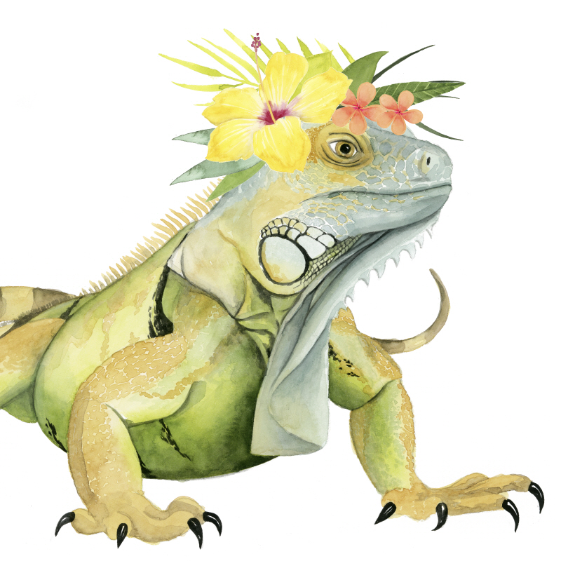 그레이스 포프 - Tropical Halo IV