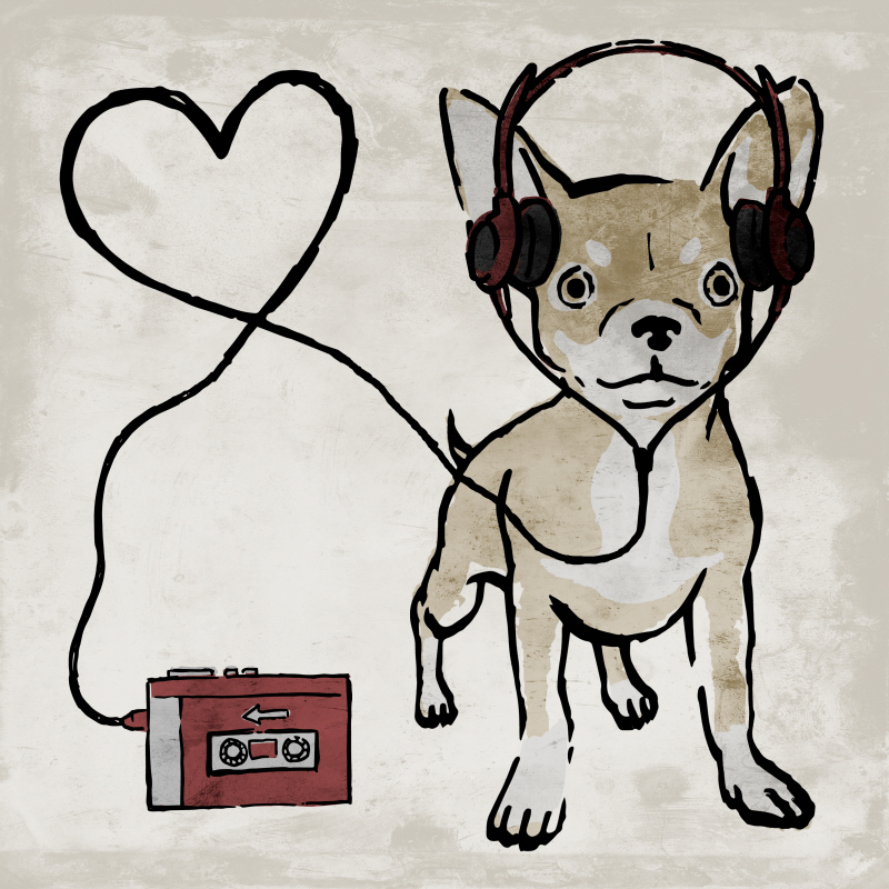 마르코 프라임 - Cool Chihuahua