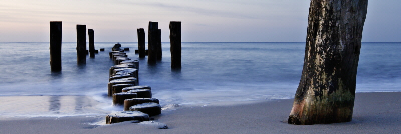 에프 라인 - Ocean Sunrise