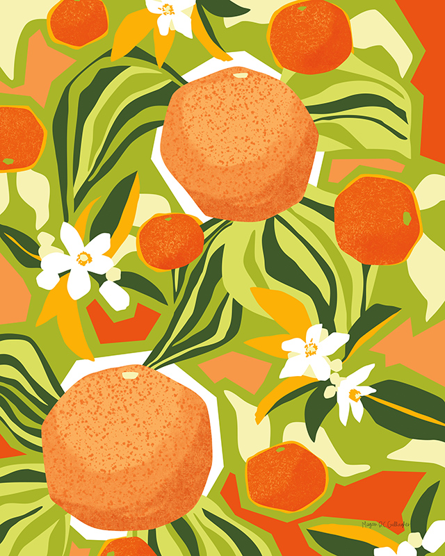 메건 갤러거 - Tangerine Grapefruit